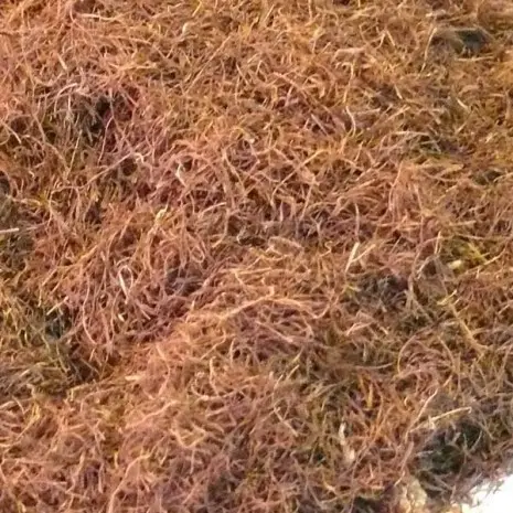Estigmas de Maíz